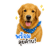 863111844