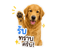 863111845