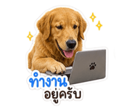 863111848