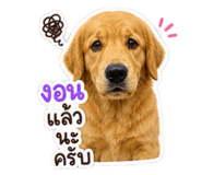 863111855