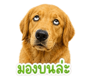 863111857