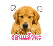 863111862