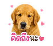 863111863