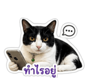 863112471