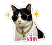 863112479