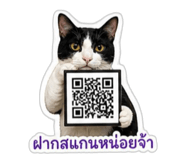 863112481