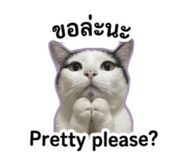 863116653