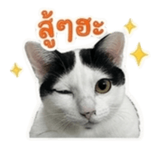 863116657