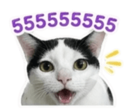 863116668