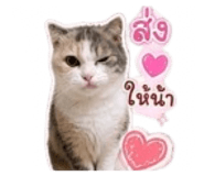 863117732