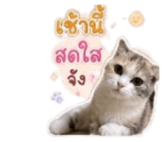 863117734