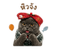 863118860