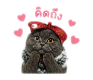 863118865