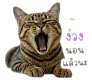 863122045
