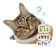 863122059