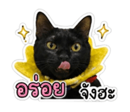863124278