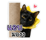 863124284