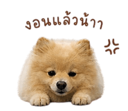 863124782