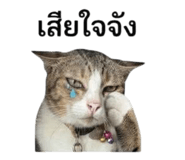 863124849