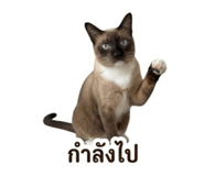 863125137