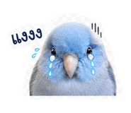 863125671