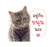 863128396