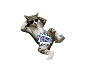 863131355
