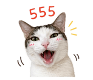 863131905