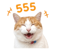 863131914
