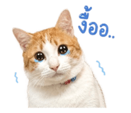 863131925