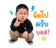 863133116