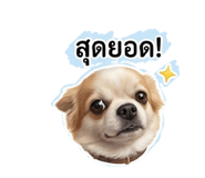 863135979