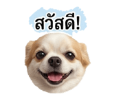 863135983