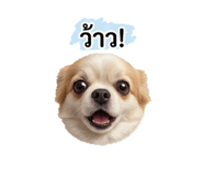 863135984