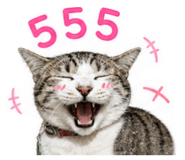863138350