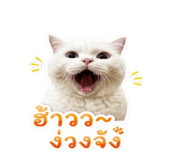 863139034