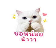 863139035
