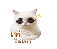 863139036