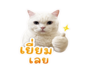 863139038