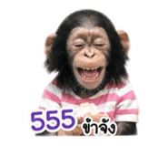 863139119