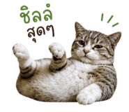 863139179