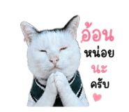 863139612