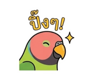 863141565