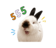 863141937
