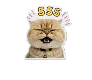 863142865