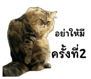 863143338