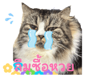 863143345