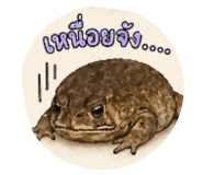863143501