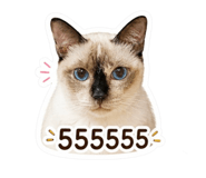 863143647