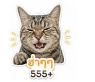 863144291